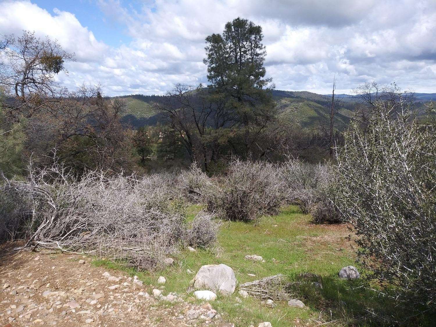 9.5 Acres of Residential Land for Sale in Murphys, California