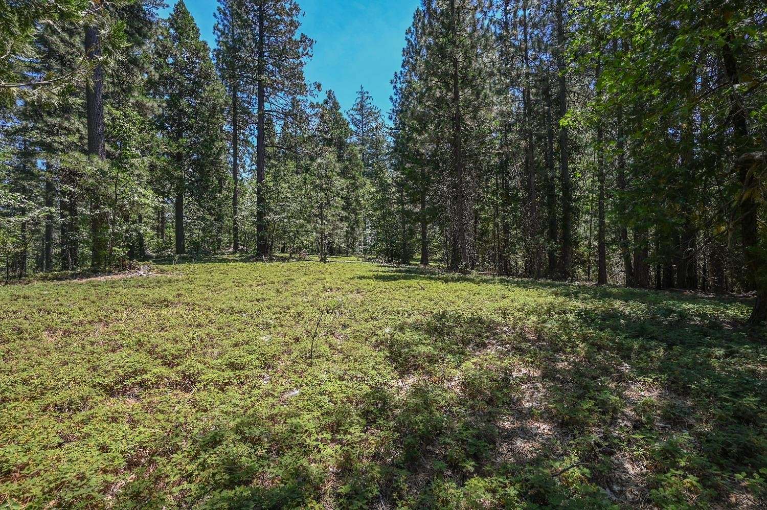 0.88 Acres of Residential Land for Sale in Avery, California