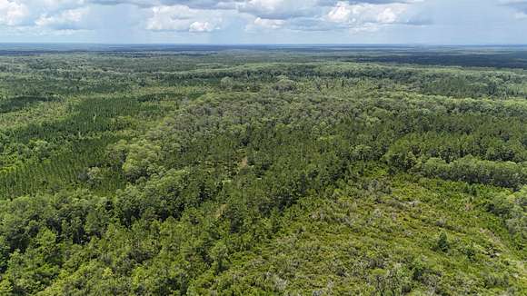 48 Acres of Recreational Land for Sale in Lamont, Florida