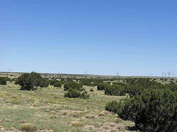 197.68 Acres of Recreational Land for Sale in Quemado, New Mexico