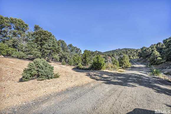 10.85 Acres of Land for Sale in Reno, Nevada