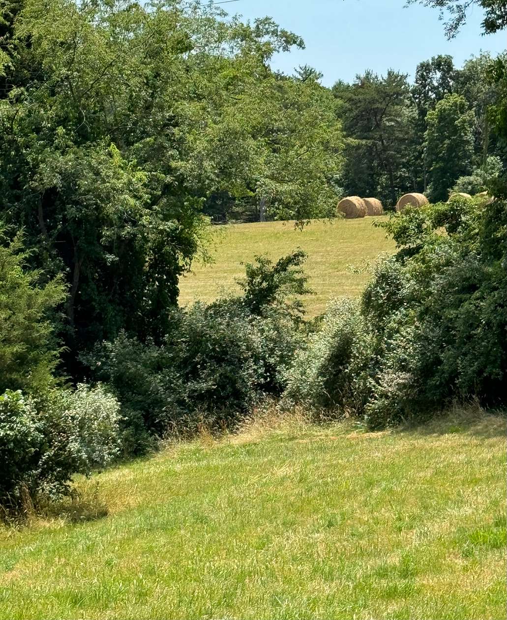 221 Acres of Land for Sale in Oldtown, Maryland