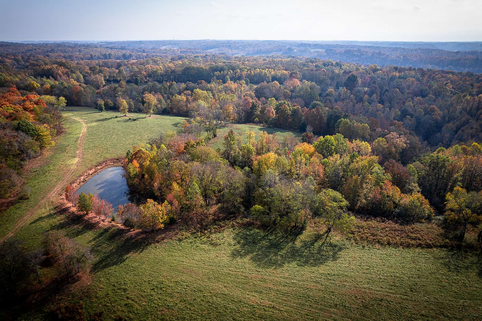 239 Acres of Land for Sale in Pulaski, Tennessee