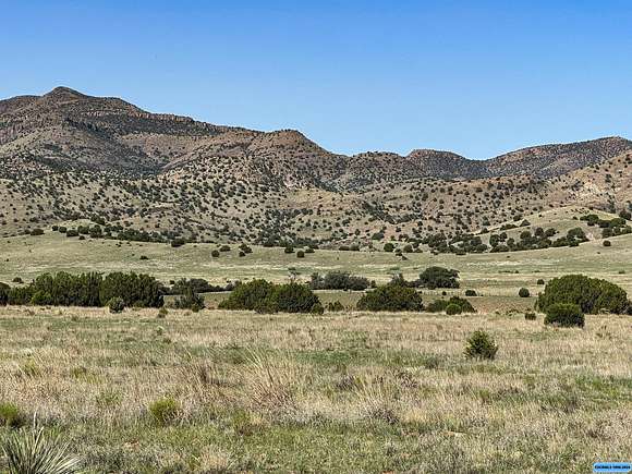 40 Acres of Land for Sale in Mimbres, New Mexico
