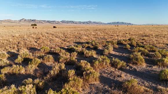 20 Acres of Recreational Land for Sale in Milford, Utah