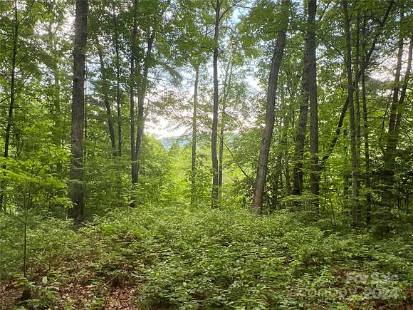 2.516 Acres of Residential Land for Sale in Rosman, North Carolina