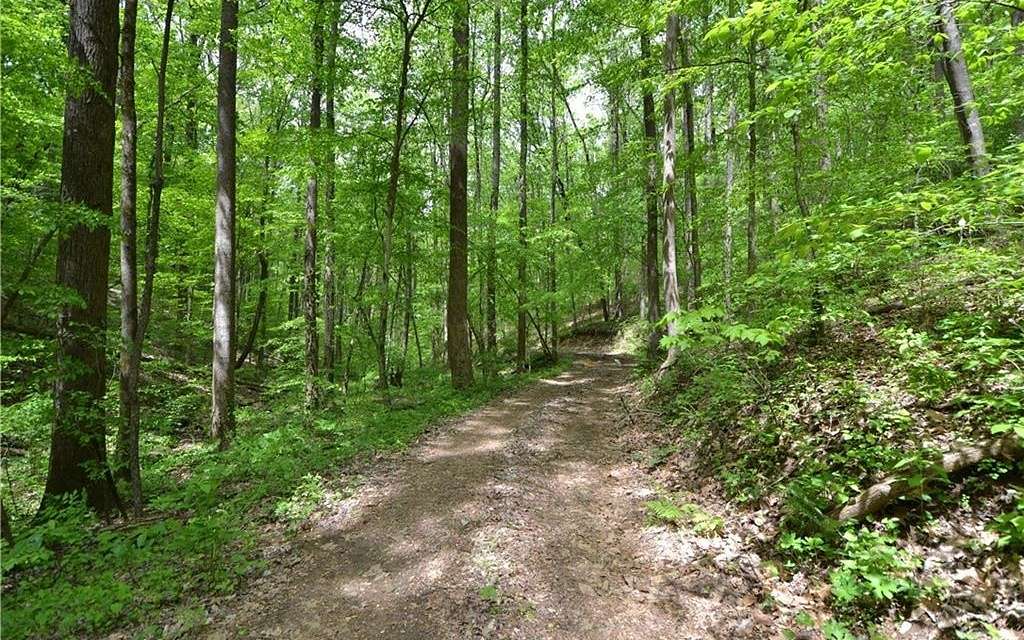 24.72 Acres of Recreational Land for Sale in Talking Rock, Georgia