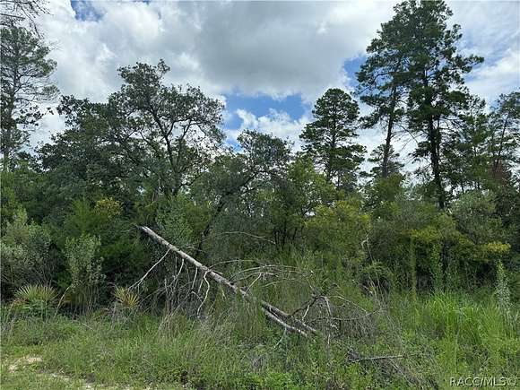 40.47 Acres of Land for Sale in Dunnellon, Florida