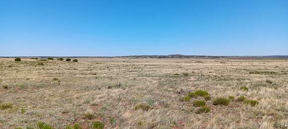 1.01 Acres of Residential Land for Sale in Concho, Arizona