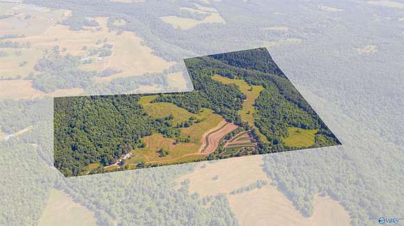 117 Acres of Agricultural Land for Auction in Altoona, Alabama