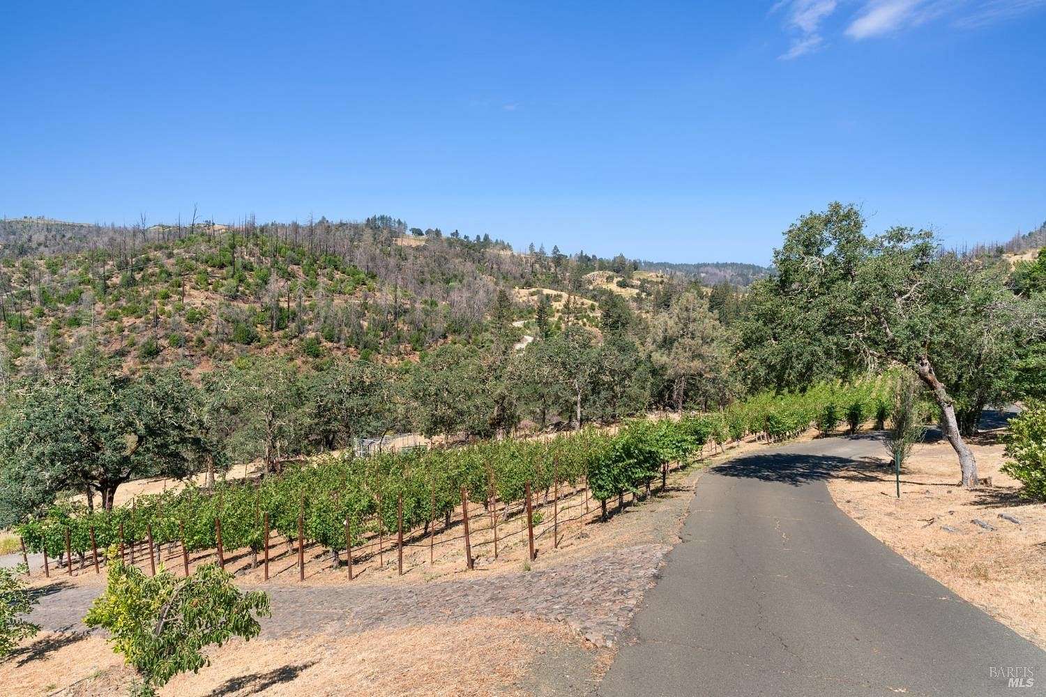 29.78 Acres of Agricultural Land for Sale in St. Helena, California