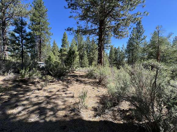 5 Acres of Land for Sale in Chiloquin, Oregon