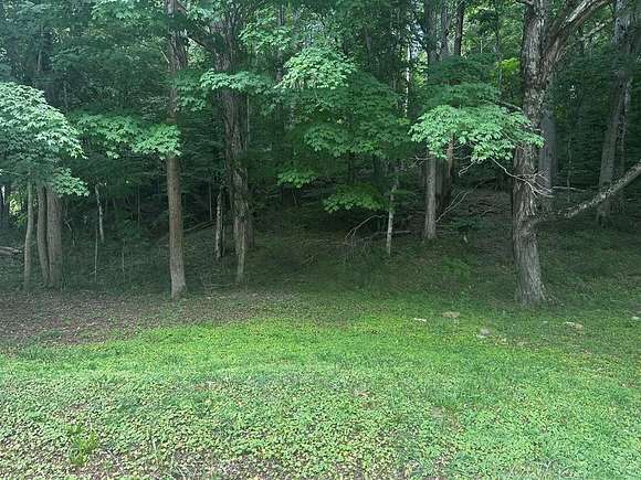 1.015 Acres of Residential Land for Sale in Pounding Mill, Virginia