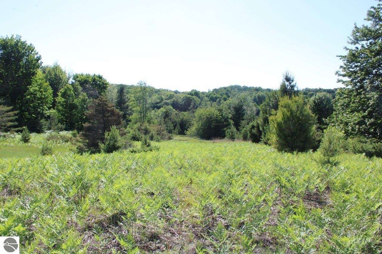 40 Acres of Land for Sale in Boyne City, Michigan