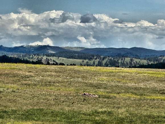 20 Acres of Recreational Land for Sale in Custer, South Dakota