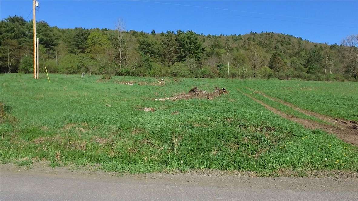 62.52 Acres of Land for Sale in Otego, New York
