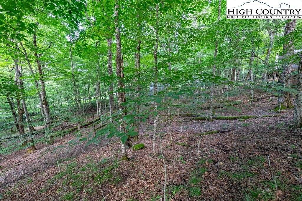 0.29 Acres of Land for Sale in Beech Mountain, North Carolina