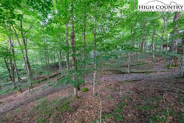 0.29 Acres of Land for Sale in Beech Mountain, North Carolina
