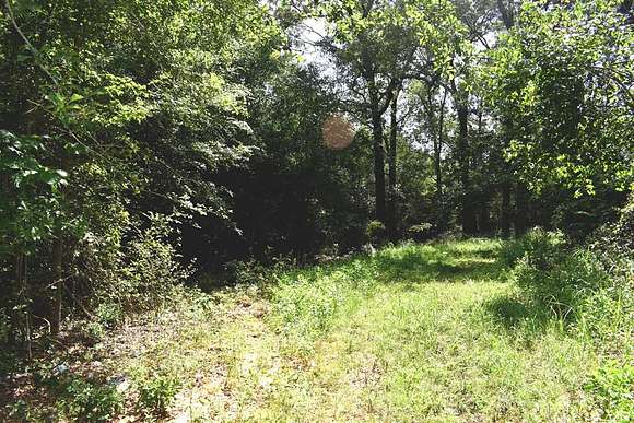 12.583 Acres of Recreational Land for Sale in Palestine, Texas