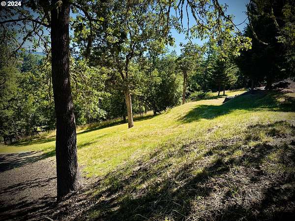 0.32 Acres of Residential Land for Sale in Winchester, Oregon