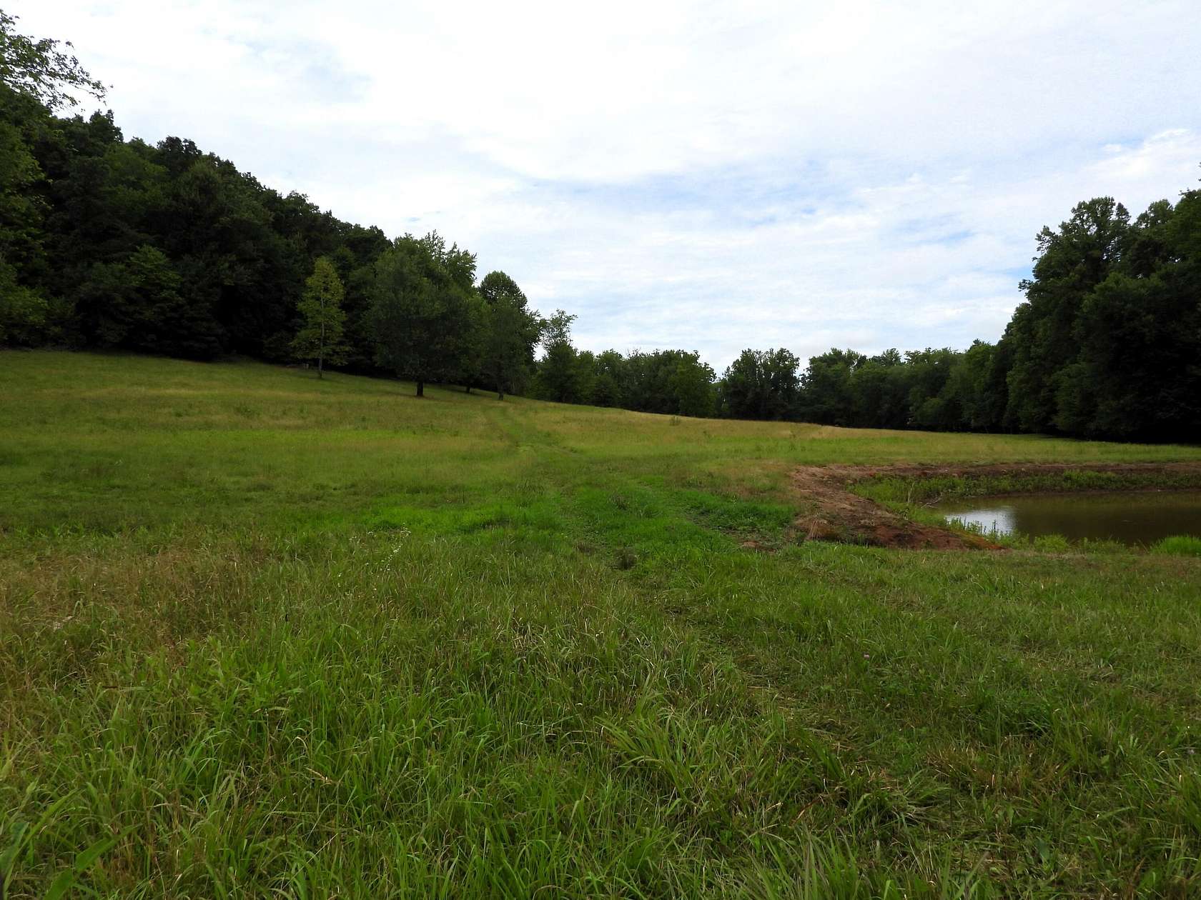 140.5 Acres of Agricultural Land for Sale in Mount Sterling, Kentucky