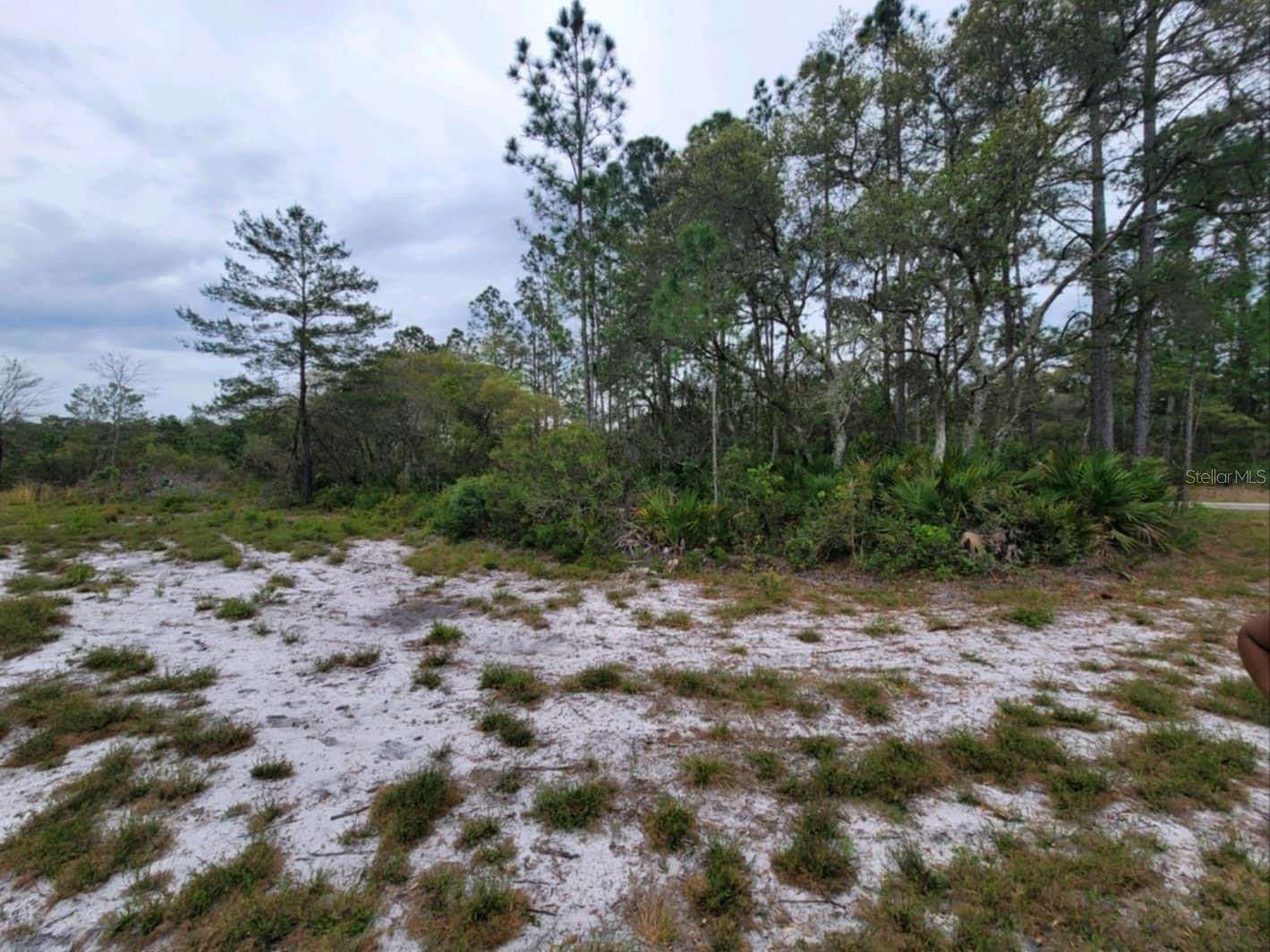 3.4 Acres of Residential Land for Sale in Ocklawaha, Florida