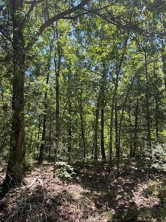 10.2 Acres of Recreational Land for Sale in Paris, Texas