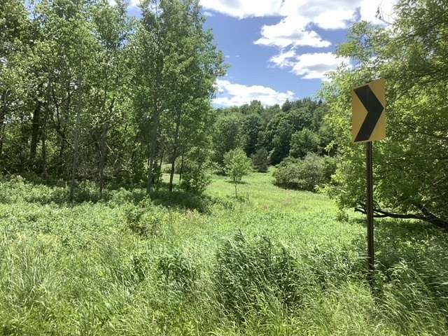 94 Acres of Recreational Land & Farm for Sale in Lisle, New York