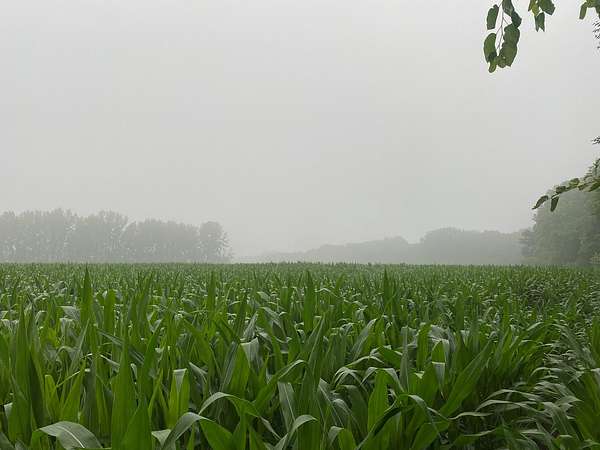 49.6 Acres of Recreational Land & Farm for Sale in Franklin, Indiana