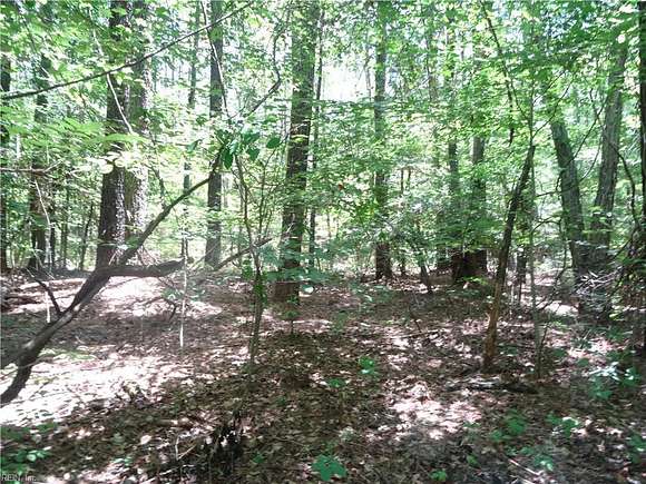 5.02 Acres of Residential Land for Sale in Zuni, Virginia
