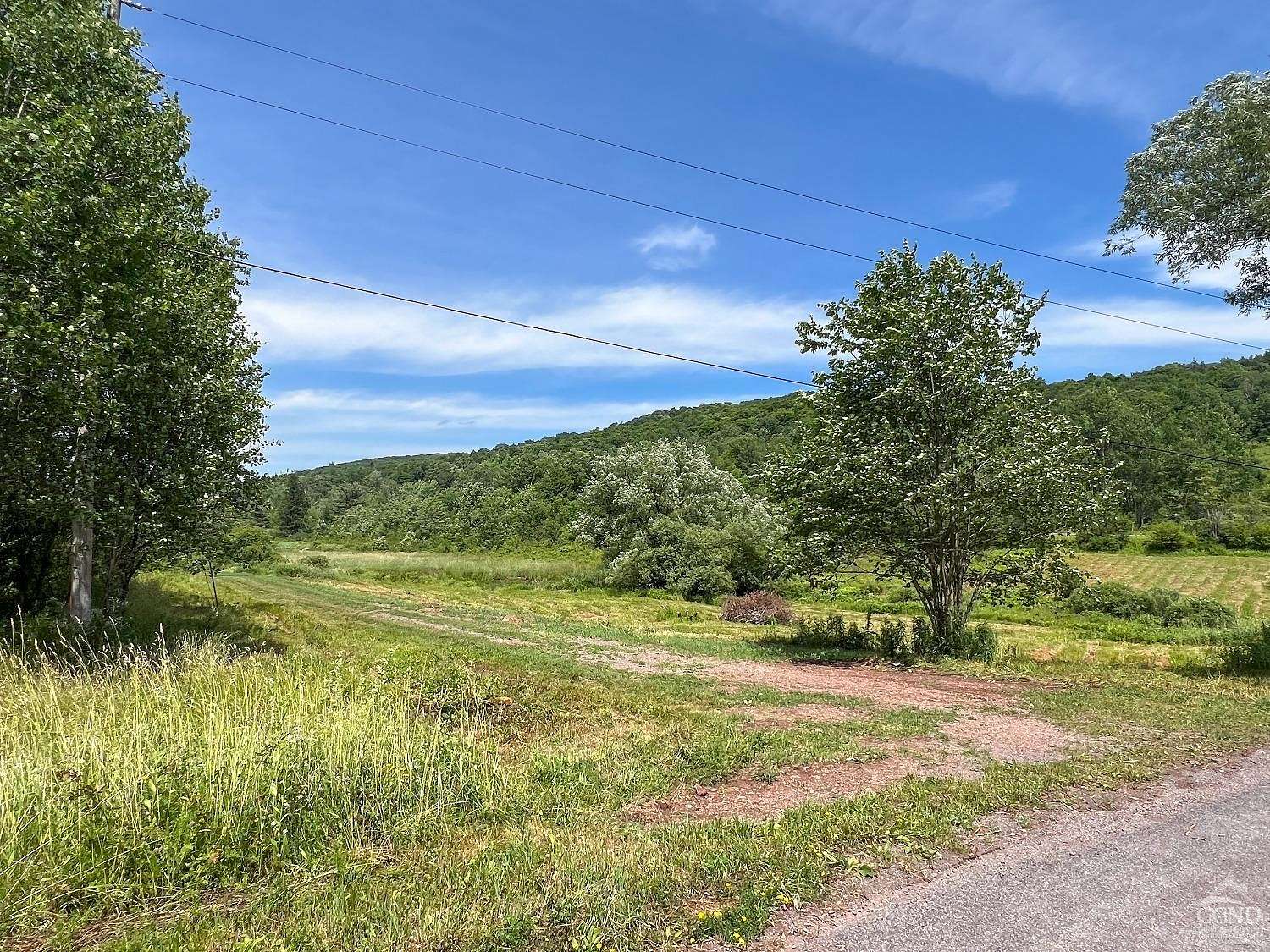 23.47 Acres of Land for Sale in Andes, New York