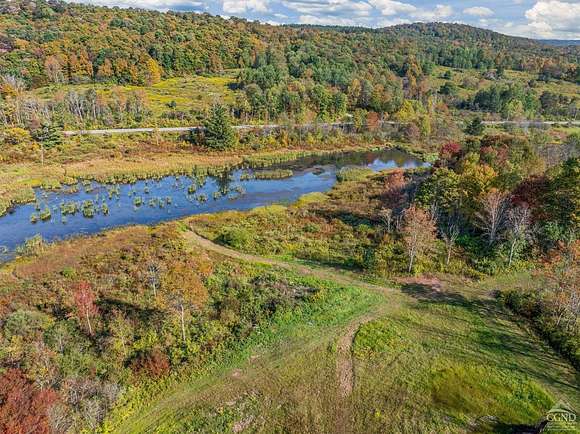 23.47 Acres of Land for Sale in Andes, New York