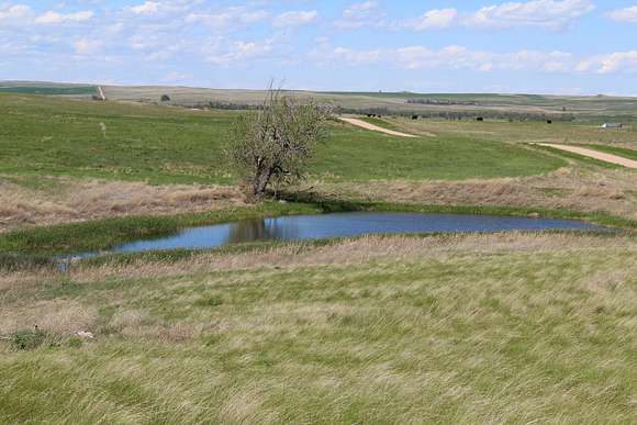 160 Acres of Recreational Land & Farm for Sale in Oelrichs, South Dakota
