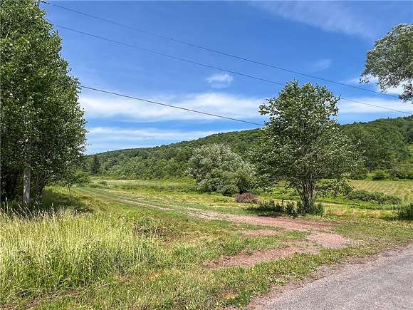 23.47 Acres of Land for Sale in Andes, New York