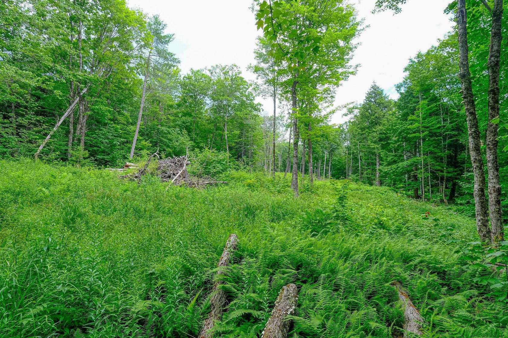 6.75 Acres of Residential Land for Sale in Ludlow, Vermont