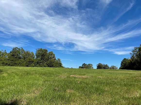 3.66 Acres of Residential Land for Sale in Carriere, Mississippi