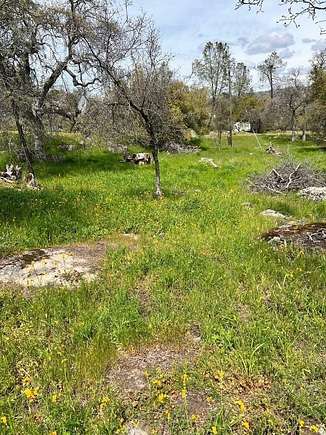 1.32 Acres of Residential Land for Sale in Coarsegold, California