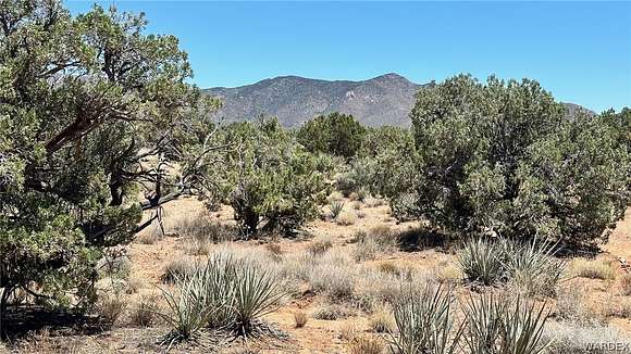 5.58 Acres of Residential Land for Sale in Hackberry, Arizona