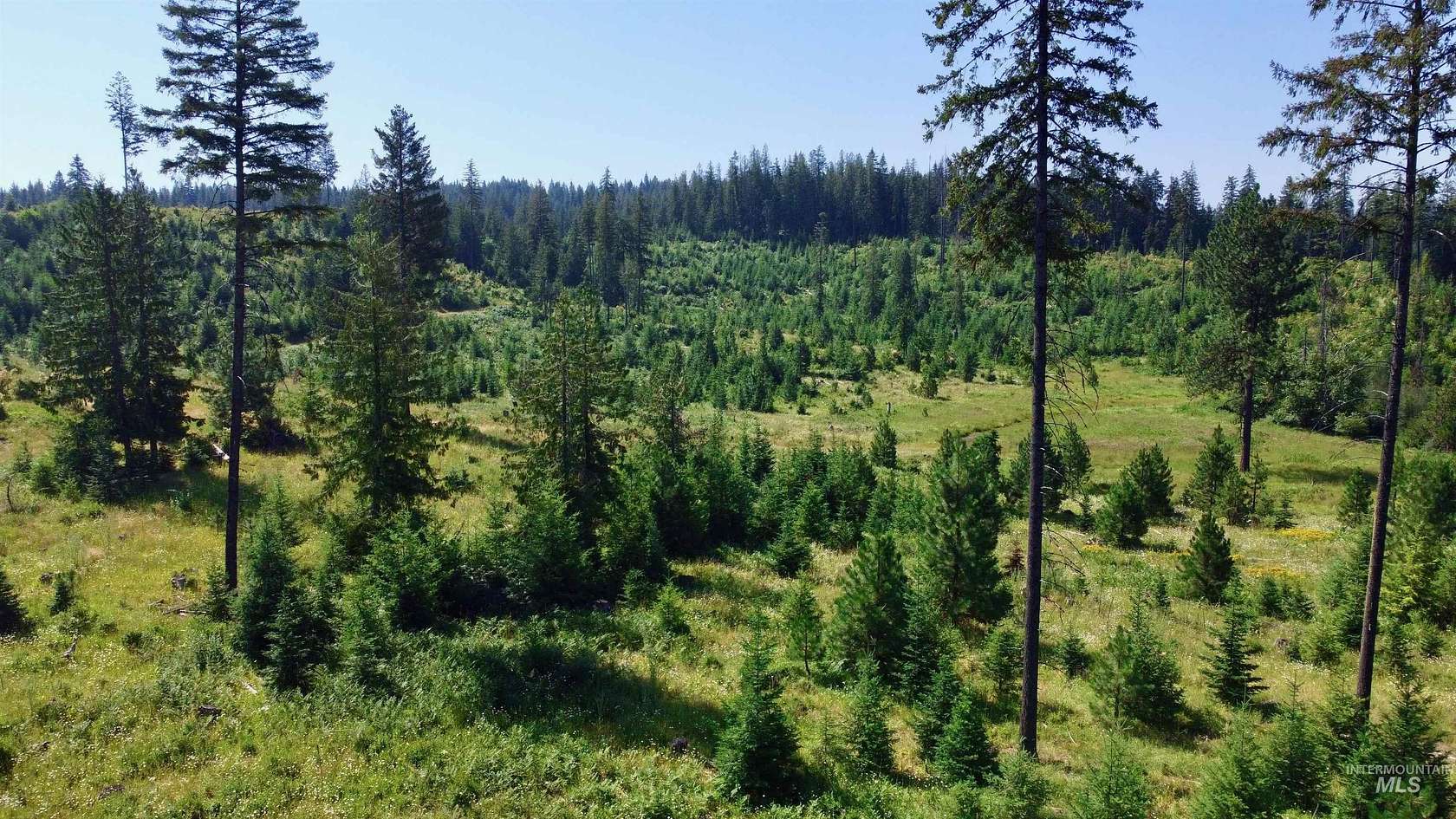 10.218 Acres of Recreational Land for Sale in Kamiah, Idaho