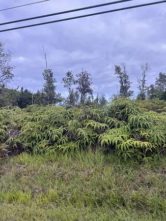 1 Acres of Land for Sale in Keaau, Hawaii