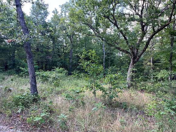 12 Acres of Recreational Land for Sale in Kirbyville, Missouri