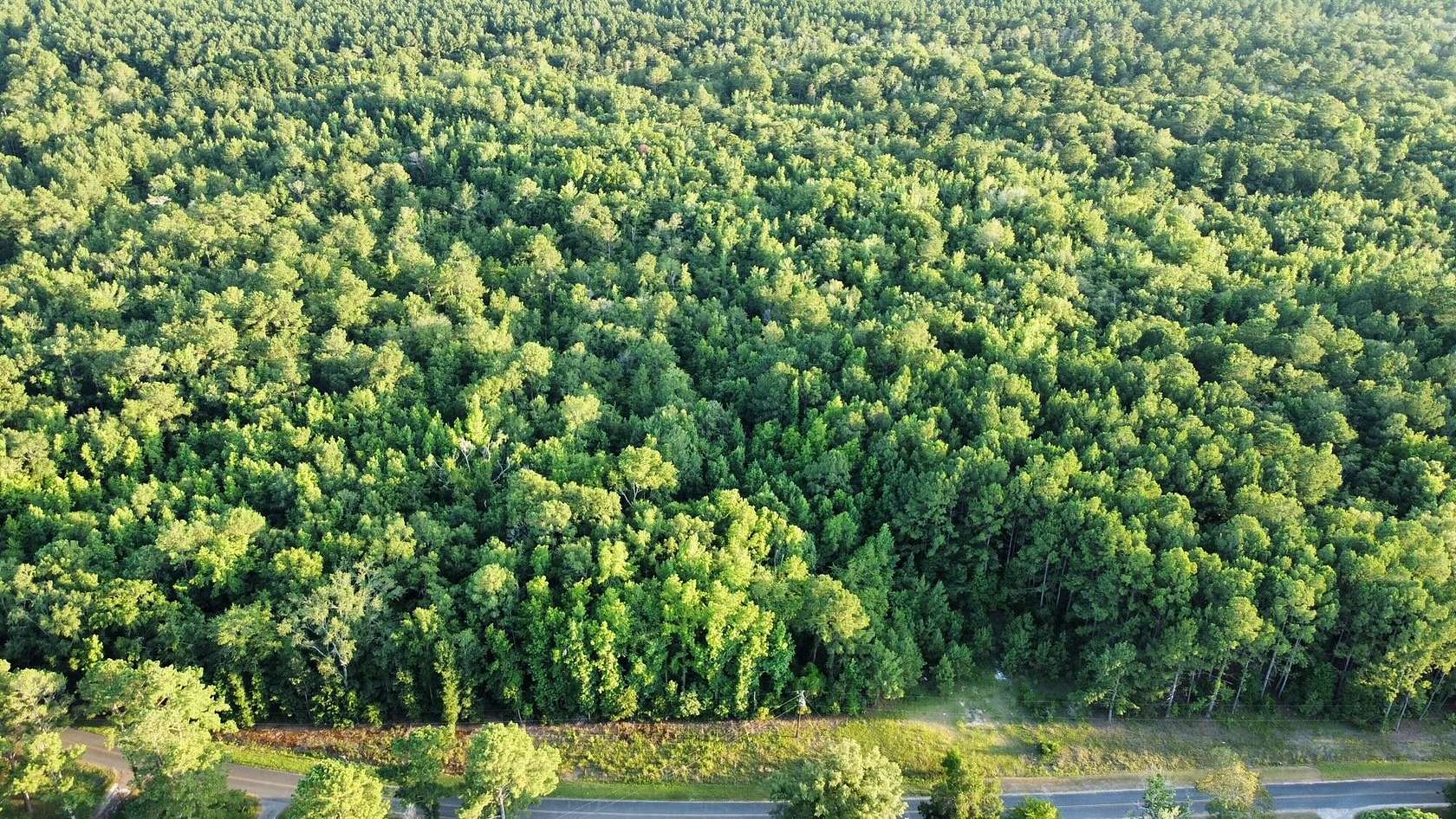 12.5 Acres of Land for Sale in St. George, South Carolina