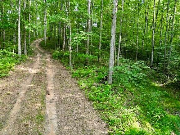 11 Acres of Land for Sale in Beattyville, Kentucky