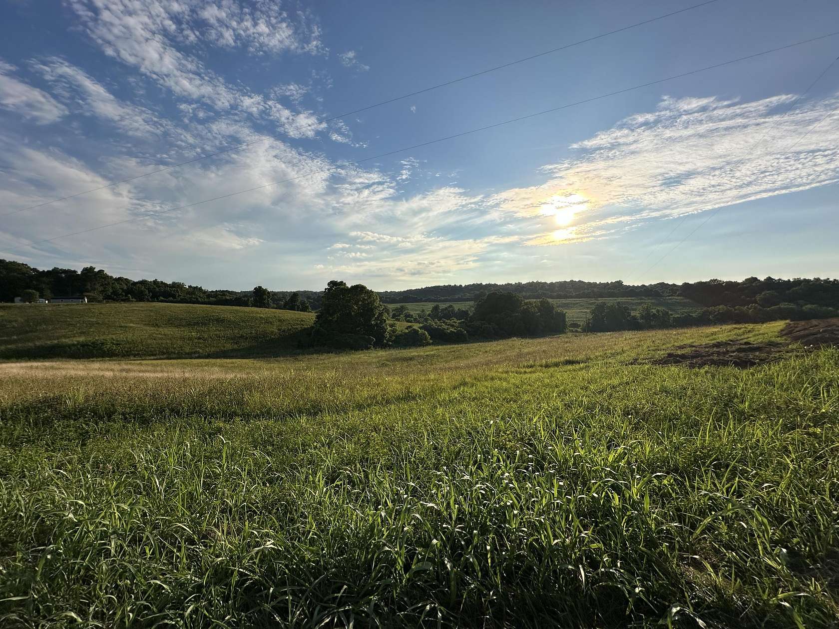 20 Acres of Agricultural Land for Sale in Carlisle, Kentucky