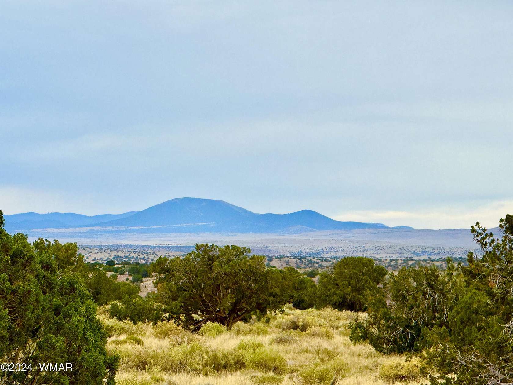 36.06 Acres of Land for Sale in St. Johns, Arizona