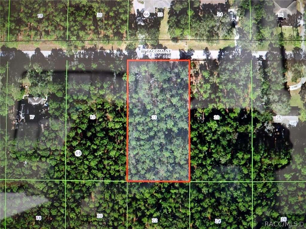 1 Acre of Residential Land for Sale in Hernando, Florida