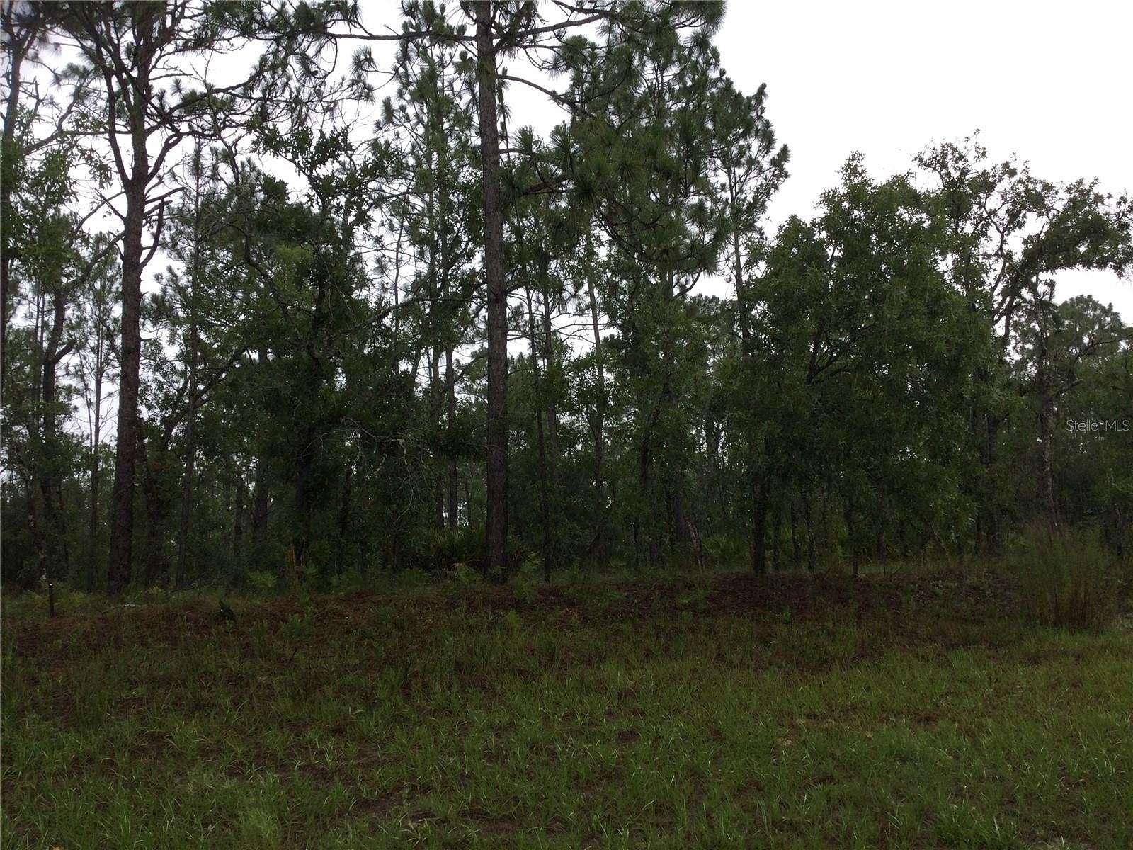 0.25 Acres of Residential Land for Sale in Dunnellon, Florida