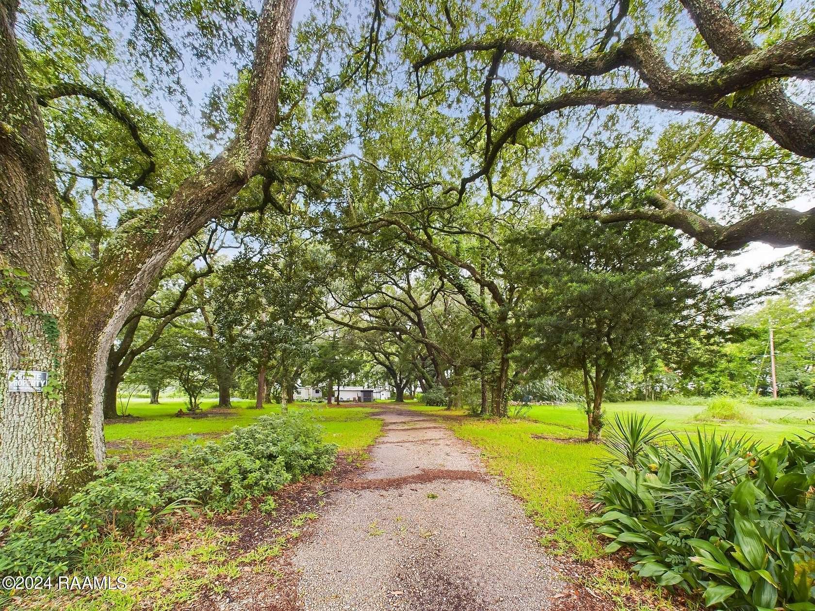 20.3 Acres of Recreational Land for Sale in Abbeville, Louisiana