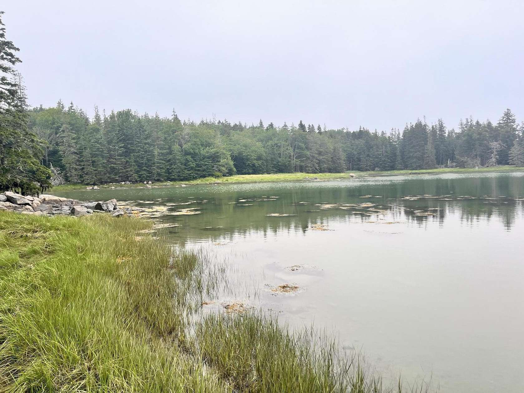 12.75 Acres of Land for Sale in Swans Island, Maine