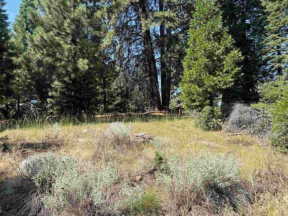 0.41 Acres of Residential Land for Sale in Lake Almanor Country Club, California